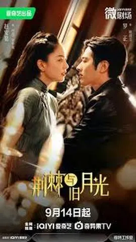 荆棘与月光