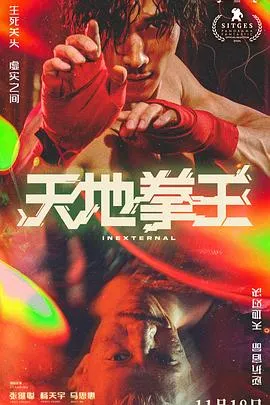 天地拳王国语