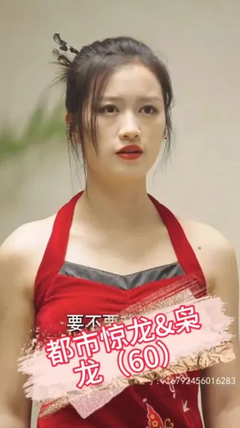 都市惊龙枭龙