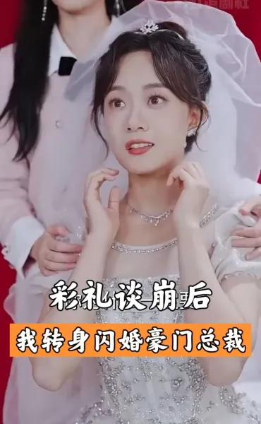  彩礼谈崩后,我闪婚了豪门老公 
