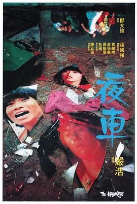 夜车国语