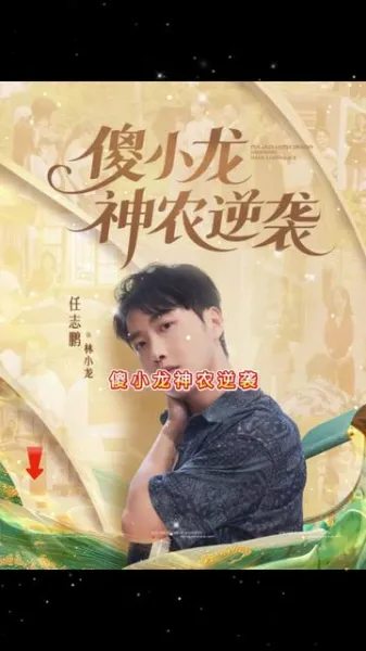 傻小龙神农逆袭