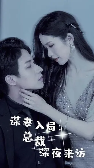 谋妻入局：总裁深夜来访
