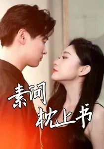 素问枕上书