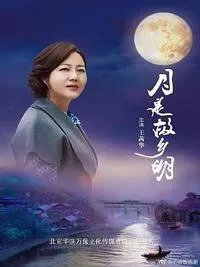 故乡无月明