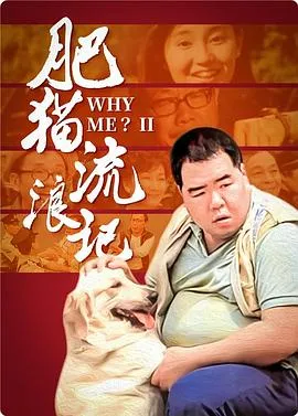 肥猫流浪记粤语
