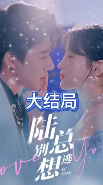 陆总别想逃