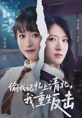 偷我记忆上清北，我重生反击