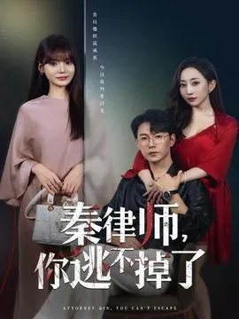秦律师你逃不掉了