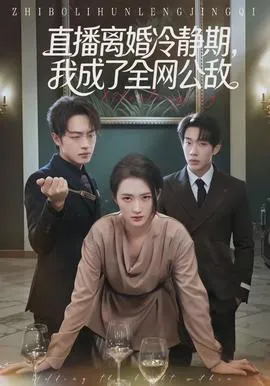 直播离婚冷静期，我成了全网公敌