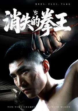 消失的拳王