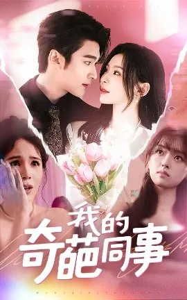 我的奇葩同事