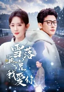 雪落再说我爱你