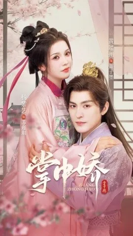 掌中娇94集