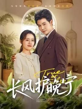 长风护晚宁