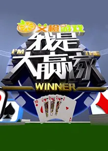 我是大赢家2017
