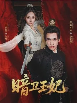暗卫王妃